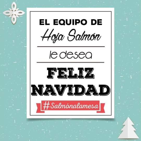 HojaSalmon's tweet photo. Desde el equipo de Hoja Salmón queremos desear una feliz Navidad a todos nuestros seguidores ¡A disfrutar! #CYGEI https://t.co/dX3Rs8U1s9