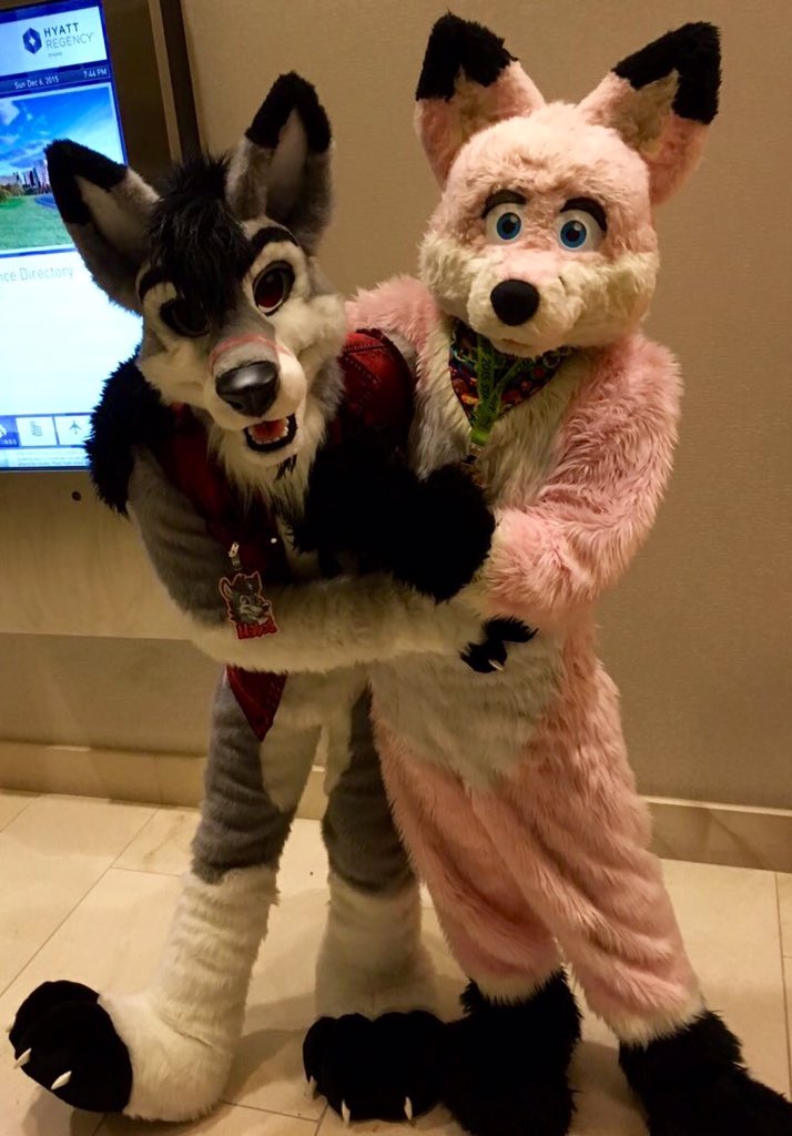 pjfoxes's tweet photo. Just doing fox things with @Enigmatic_Havoc at @midwestfurfest #FursuitFriday #foxes #stolf https://t.co/Mp0Uplm4vJ