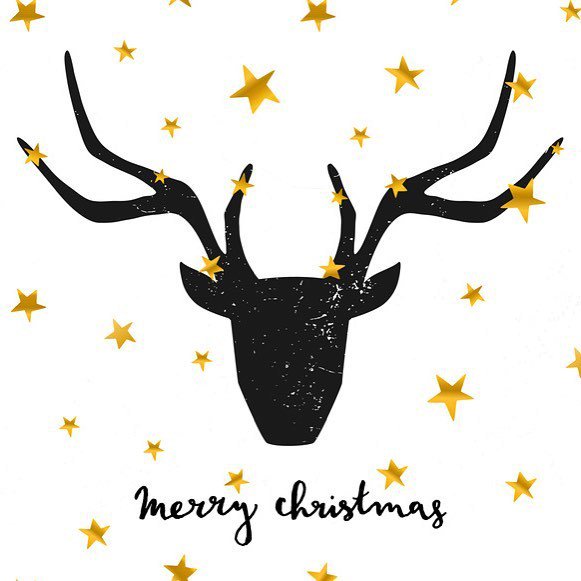 Nathalie en été tweet media