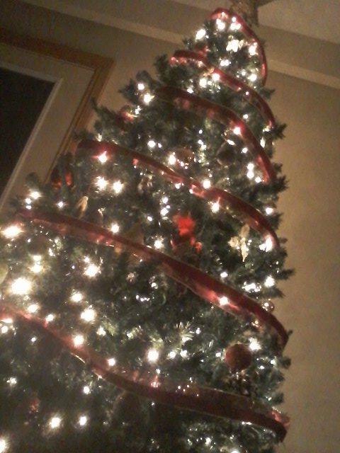 cammyQboy's tweet photo. Had a #beautifulchristmastree that I helped my dad and co decorate earlier on. https://t.co/b8LE0igbn5