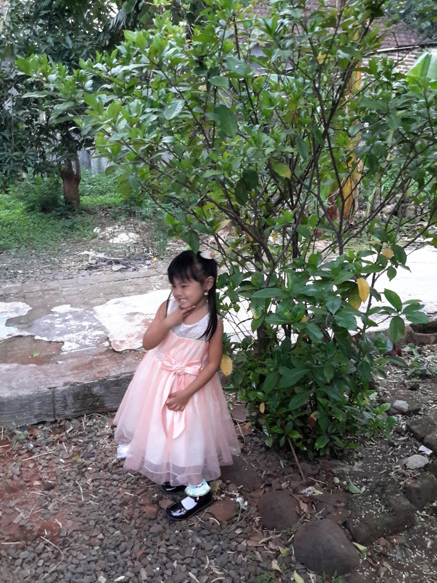 handjaja sllu (@sllu42) on Twitter photo 