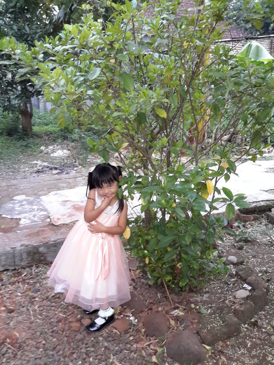 handjaja sllu (@sllu42) on Twitter photo 