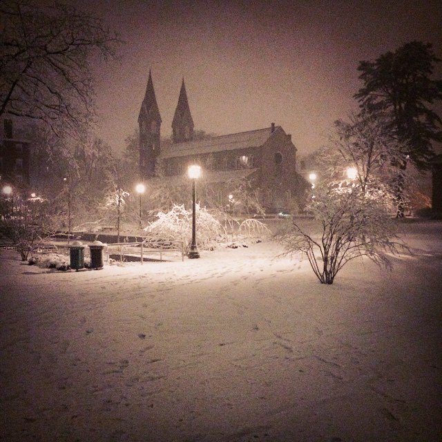 Bowdoin College tweet media