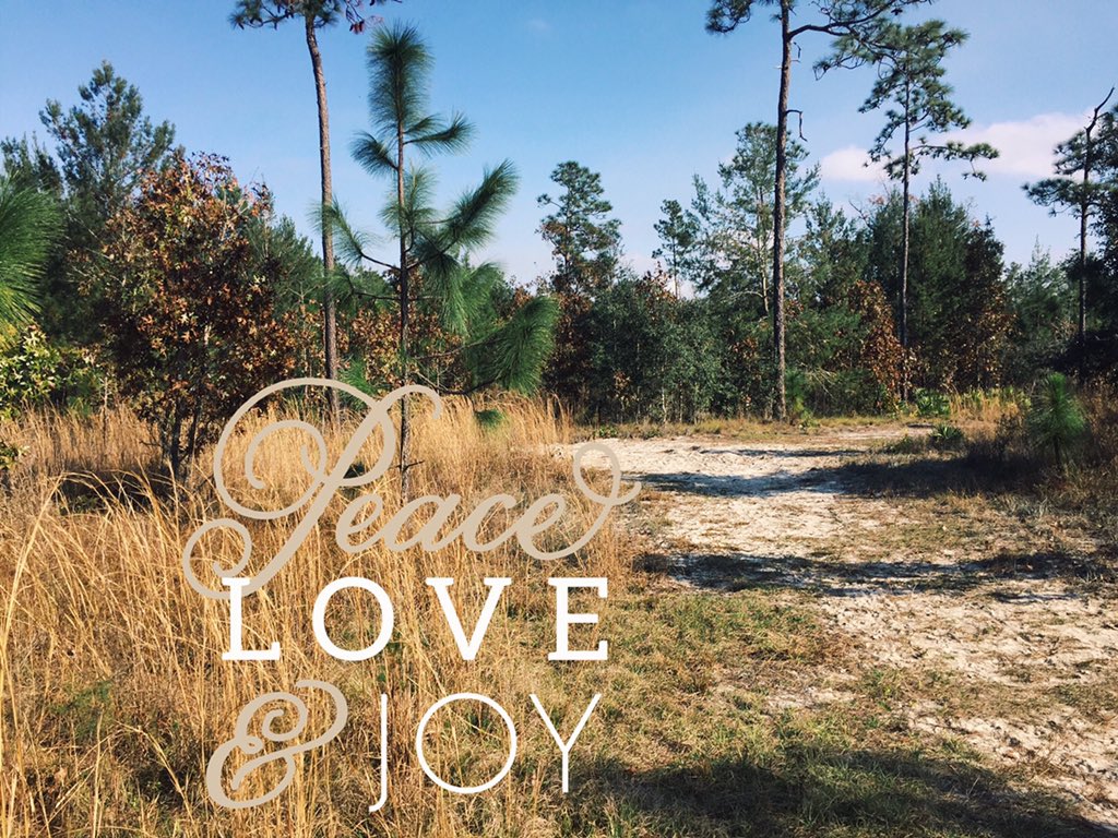 HopeStrands's tweet image. Merry Christmas beautiful people!