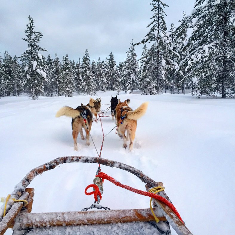 CNTraveler's tweet photo. Are you Team Sand or Team Snow this Christmas? https://t.co/sYE0XKYgUz #SandVsSnow https://t.co/UQp60lD4Hb