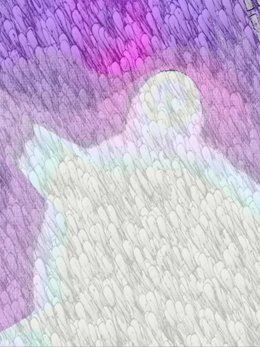 widner_gaige's tweet photo. It looks like the ghost of Charlie brown has came https://t.co/EyGTfVmA3O
