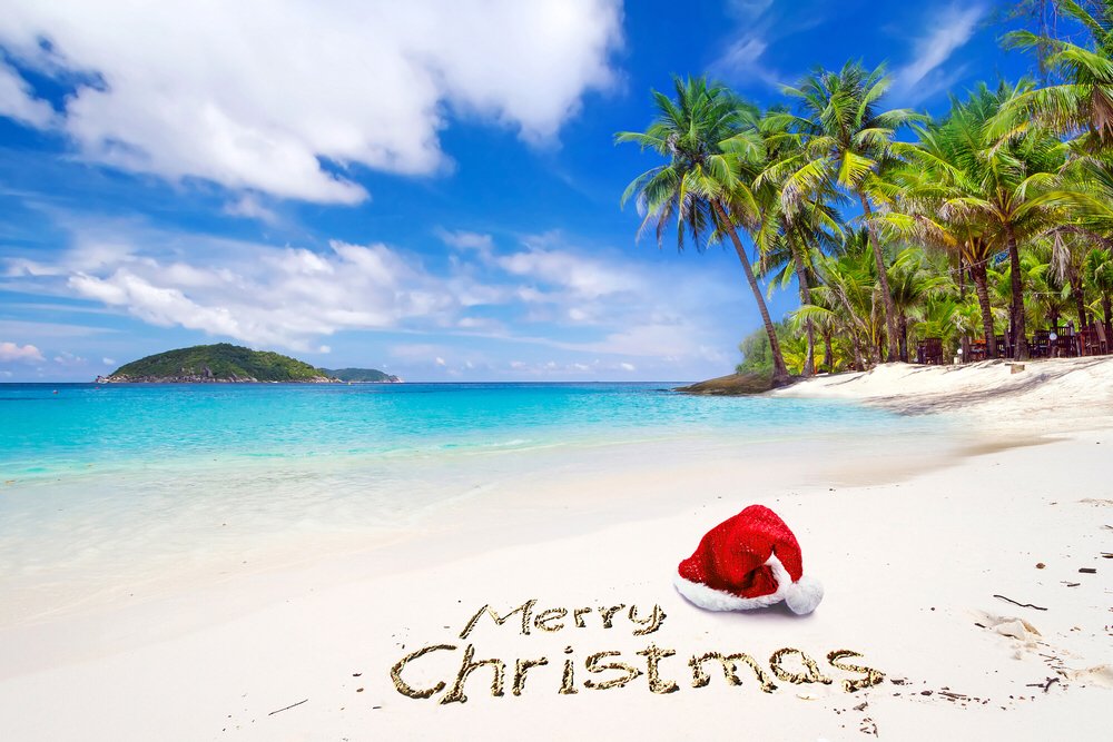 coconotion's tweet photo. Your friends at Coconotion wish you a very Merry Christmas filled with life, laughter, and love. https://t.co/HcTjqrG5rr