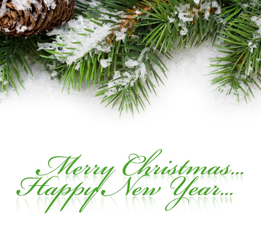 Green Lion Digital (@greenliondig) on Twitter photo 