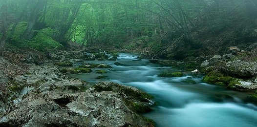 FavoriteTrips's tweet image. Волшебность