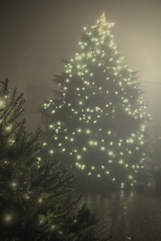 MidniteVapor's tweet photo. Dreaming of a cloudy Christmas. https://t.co/trEZIORTpE