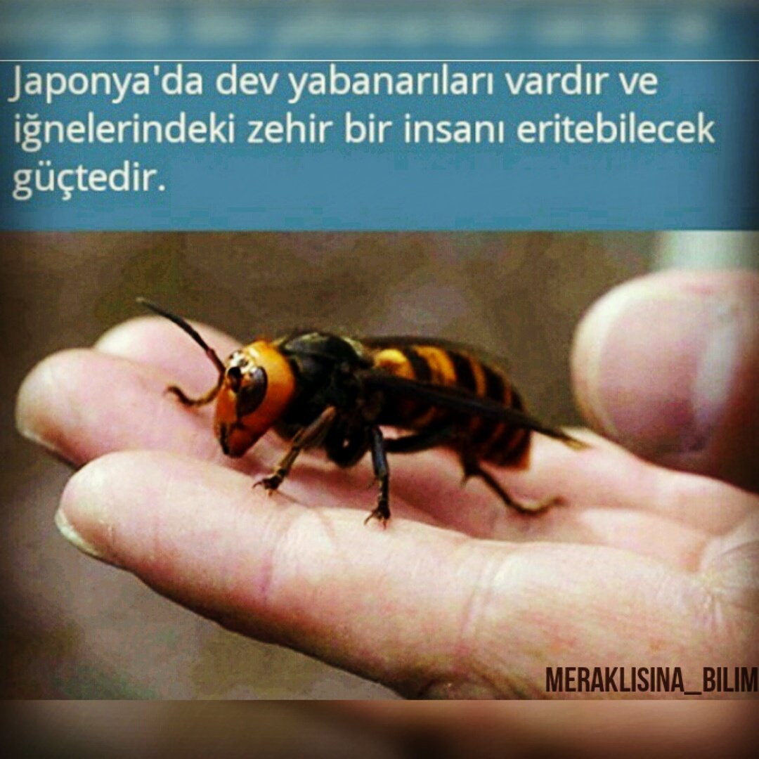 O_vural34's tweet photo. https://t.co/VjJWKsn7Ke
