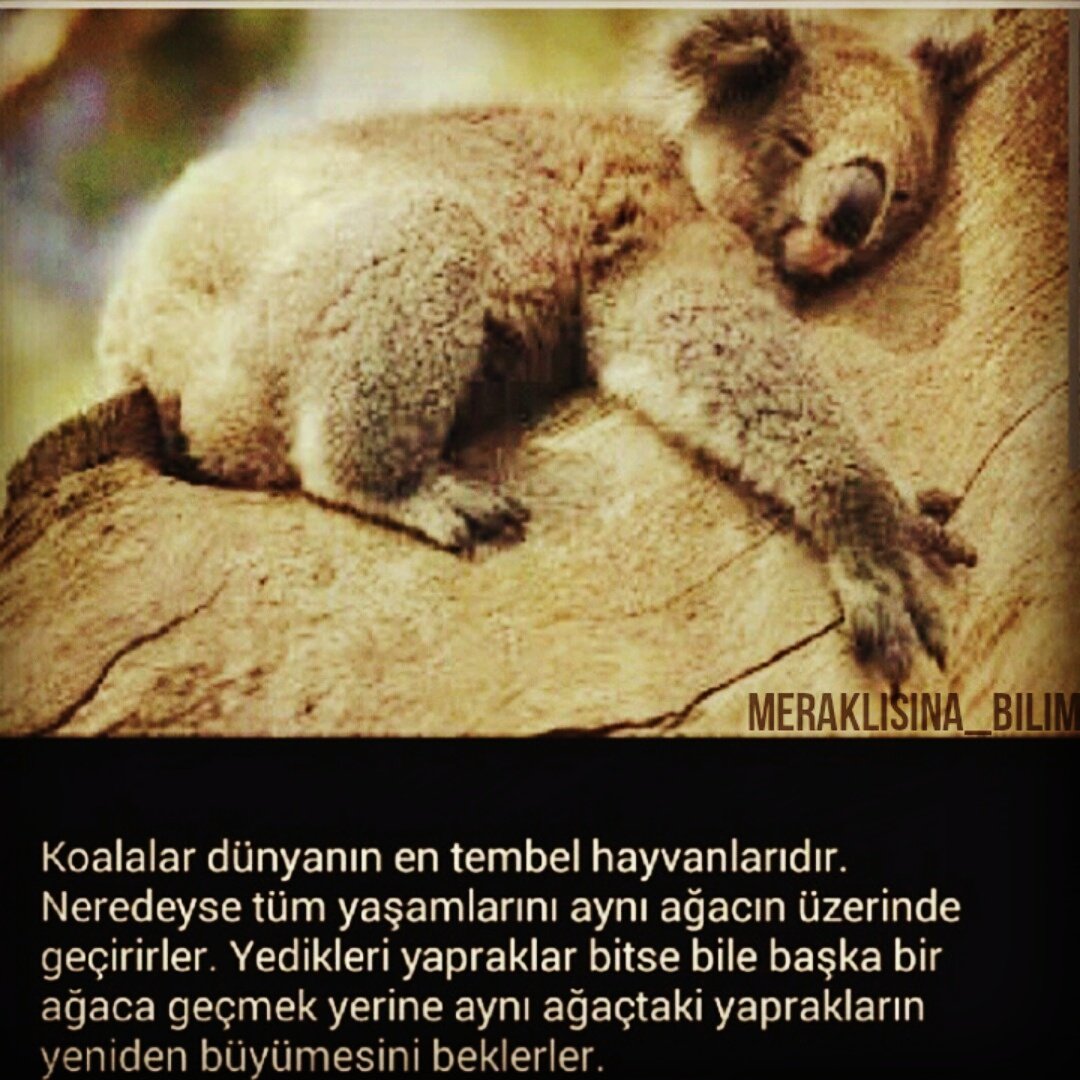 O_vural34's tweet photo. https://t.co/0Ex8FWjikq