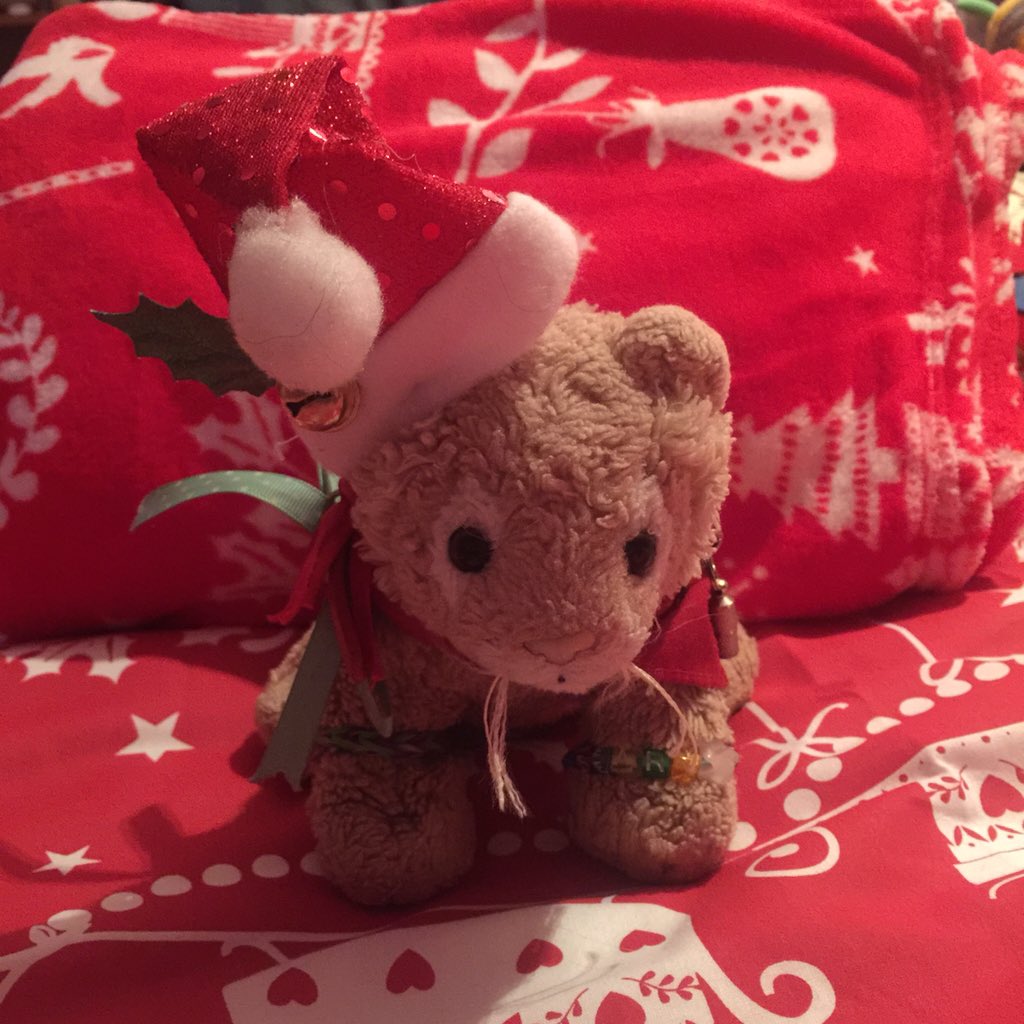 TobuscusSeary's tweet photo. Hope all of ma Twitter friends had an amazing RAWRmas !! :D #MerryChristmas #SantaHat #RAWR https://t.co/5M79LU3ni9