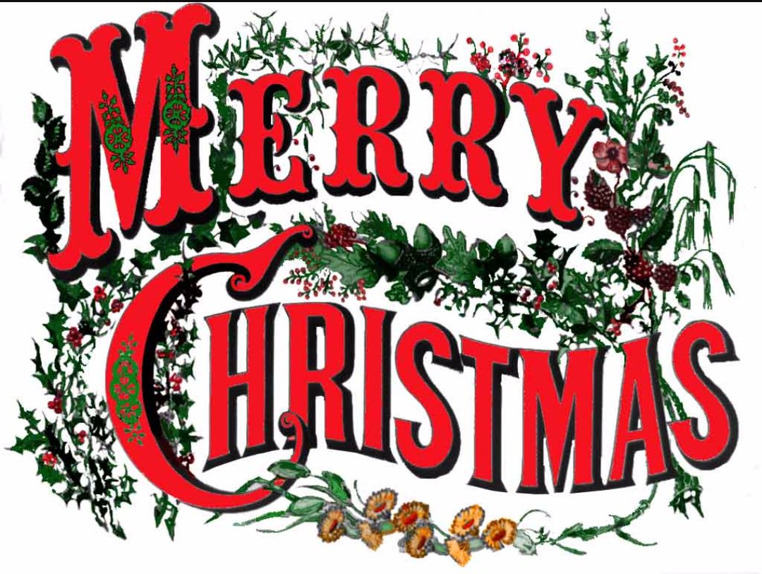 vampirehello1's tweet photo. To all my followers 😆 I hope everyone has an awesome Christmas ⛄❄🎄🎅 https://t.co/hTxHXDLtki