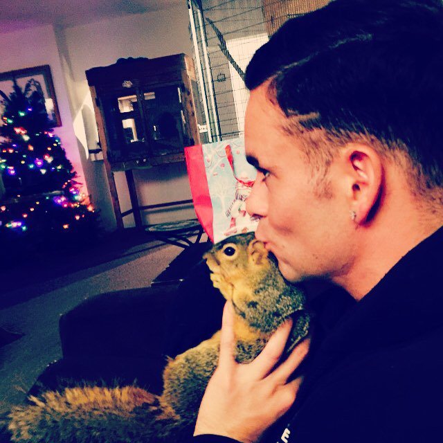 Mark Salling tweet media