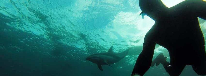 #dolphins facebook.com/xtremeimports/…