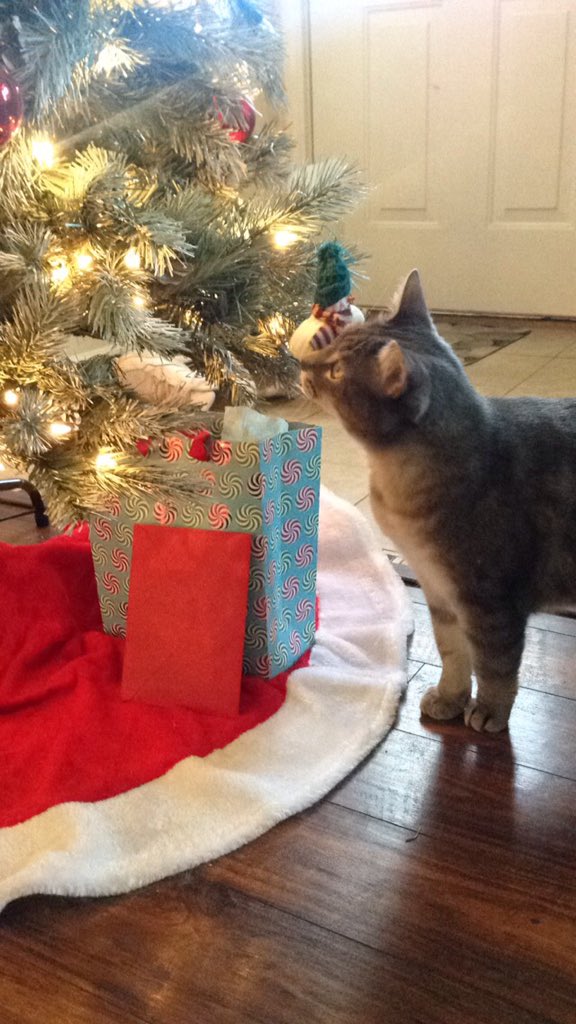 dxsconnected's tweet image. Merry Christmas from Dylan and Dylan.