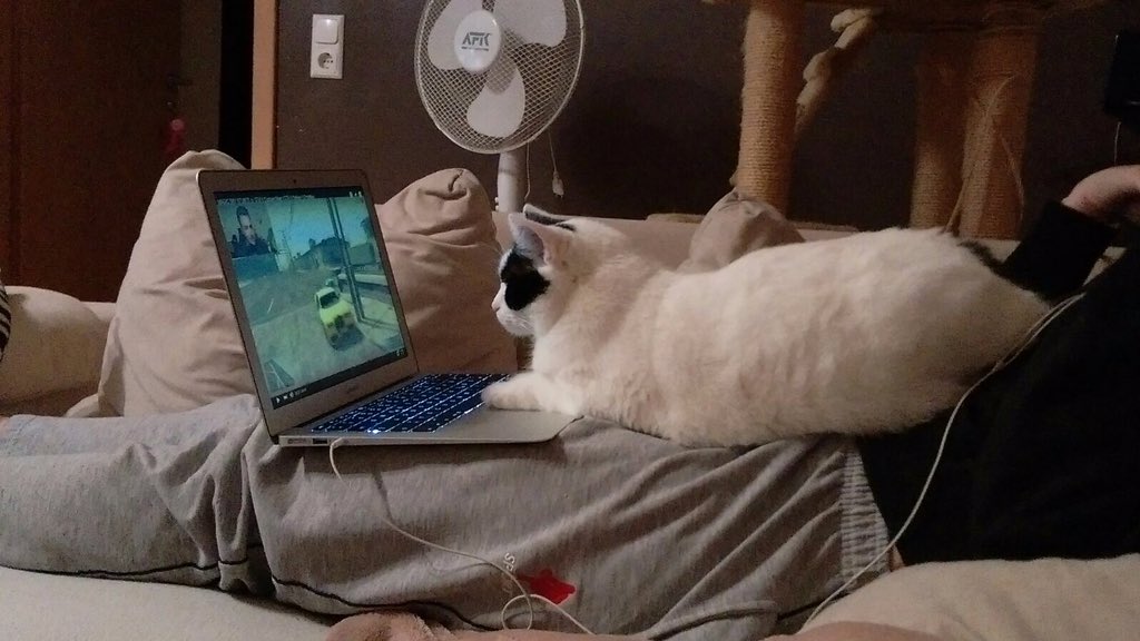 NathalieOphey's tweet photo. @LPmitKev
Also meine Katze findet GTA auch sehr interessant 👍 #Geilonachten #geilo https://t.co/wqSqRheWdU