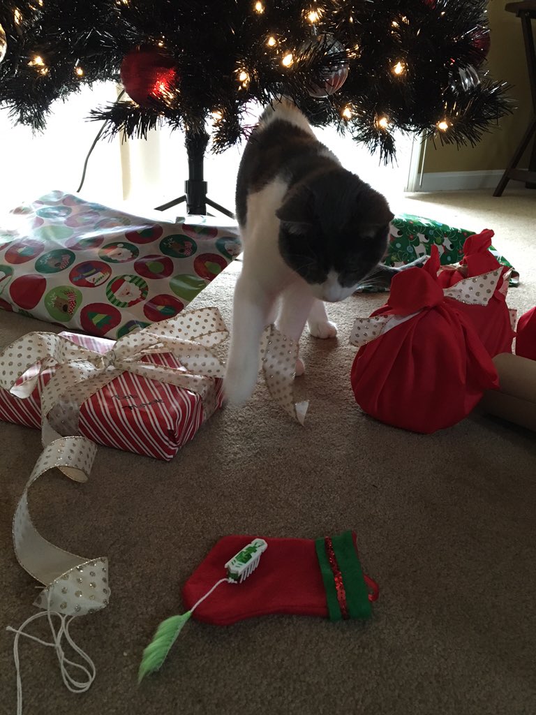 BraumLife's tweet photo. New toys buzz buzz #BraumLife #meowychristmas #ChristmasDay https://t.co/W4q3Uhkhf4