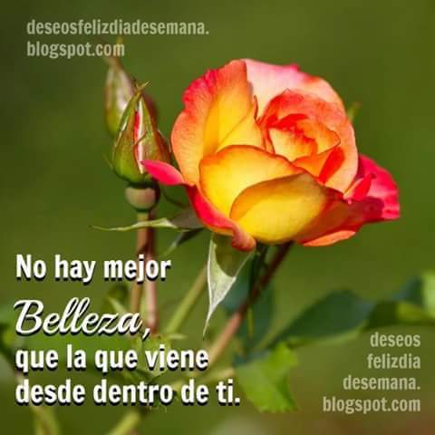 AlexRosTorrez91's tweet photo. Me preguntó muchas veces el porqué no olvido su sonrisa https://t.co/lJezu1qmdm