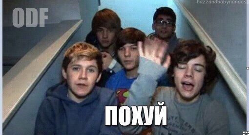 TheWifeOfNiallH tweet picture