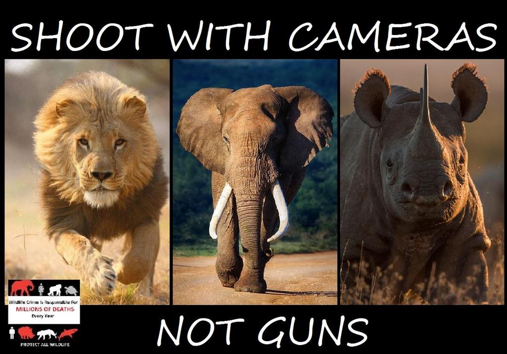 PROTECT ALL WILDLIFE on Twitter: PROTECT ALL WILDLIFE on Twitter:
