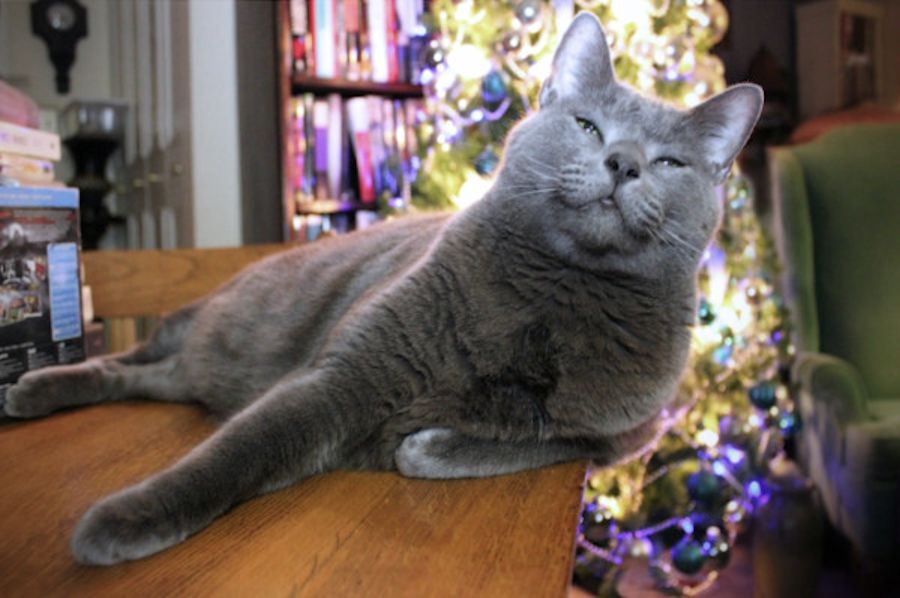 filmystic's tweet photo. Merry Christmas Jack, Blue Girl, Frosty, Dude, William from Taji. "I ruv you guys." #eggnogging @AwardsDaily @jazzt https://t.co/JsULXc2emH