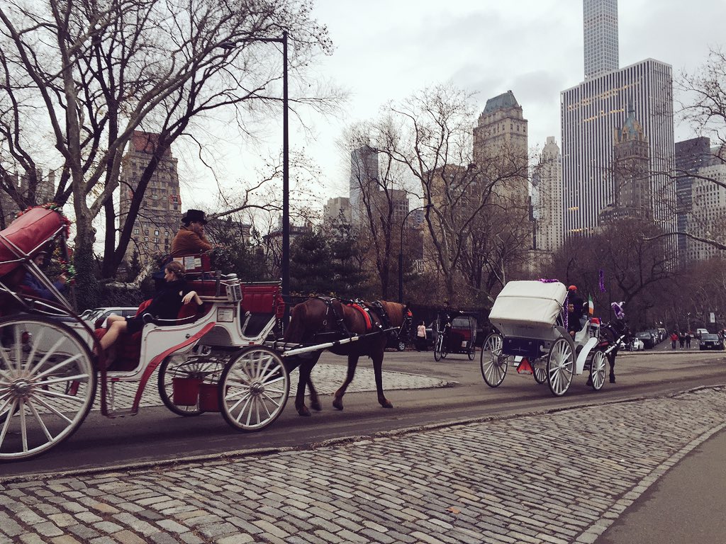 SenkaFilipovic's tweet photo. Hope #NYC bans these inhumane #horse carriages. Walk people & see the city! #animalcruelty #anipals https://t.co/KvEchnfbr2