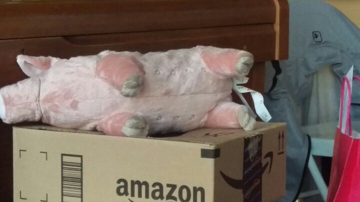 kpdebolt's tweet photo. #pignipples https://t.co/LDqs55fQe4