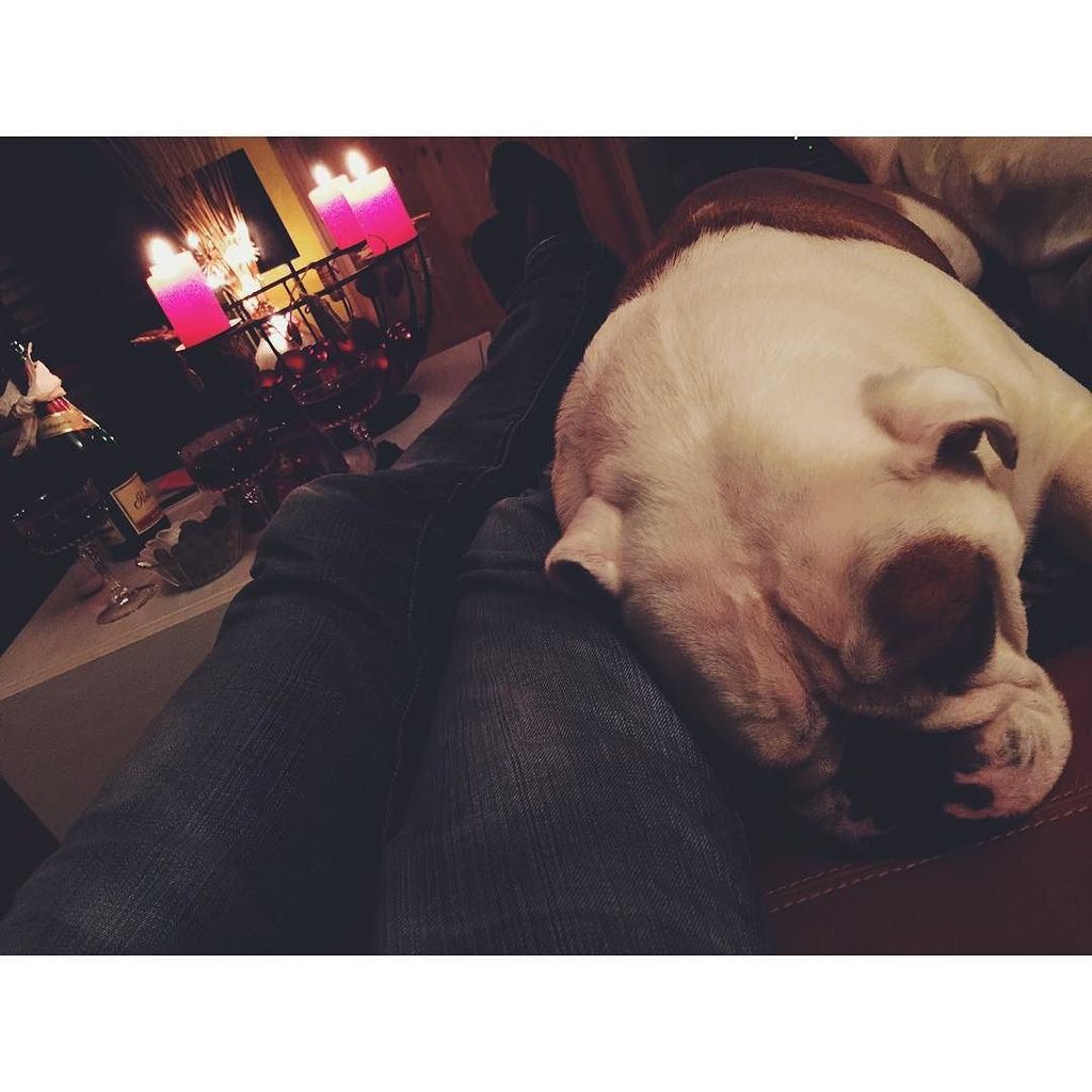 tokiohotel's tweet photo. #christmaschillin https://t.co/tjDTNzaAZz https://t.co/IJL40ar7th