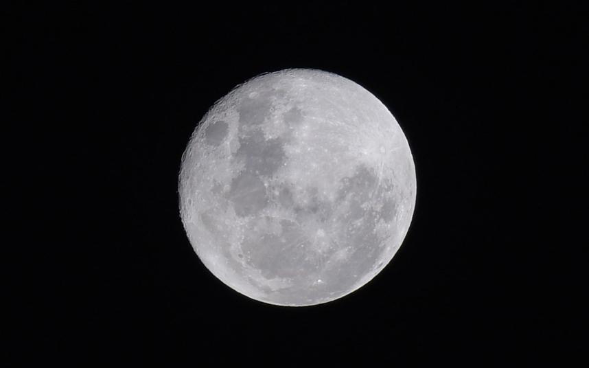 Telegraph's tweet photo. Full moon on Christmas Day for the first time in 38 years https://t.co/Ow1d0kGOfl https://t.co/KefbQp5eOR