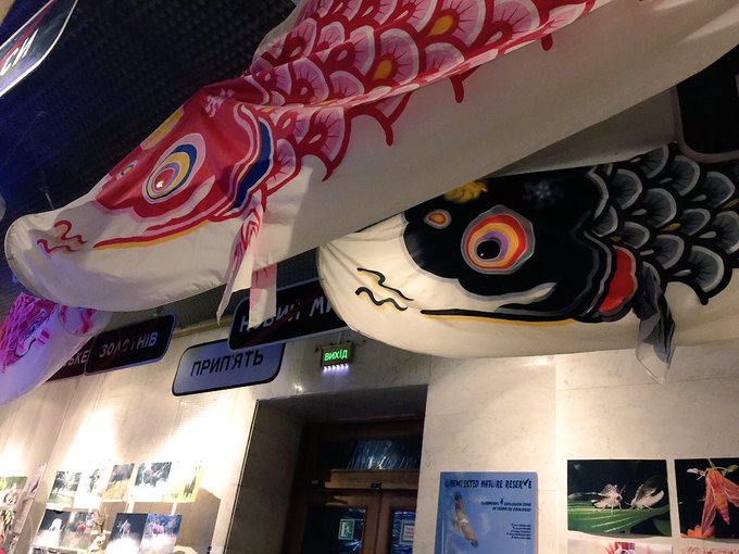 Twitterで画像を見る