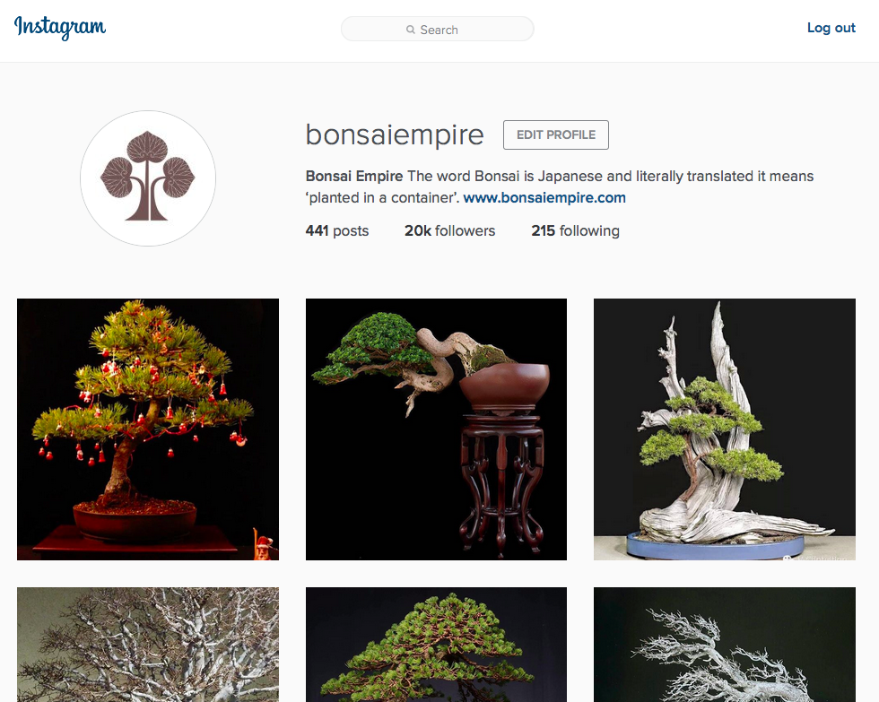 bonsaiempire's tweet photo. A small #Christmas present for #Bonsai Empire, reaching our 20.000th follower on #Instagram! https://t.co/YDd0bwT6gc https://t.co/mAXHloVS8u