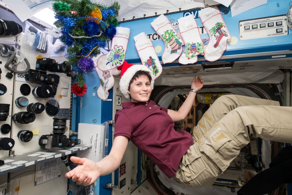 NASA's tweet image. While you enjoy holidays on Earth, take a look at how they’re celebrated on @Space_Station: flic.kr/s/aHskpqh3Jh