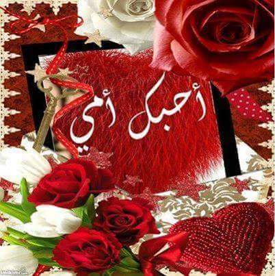 TabarakSaid tweet picture