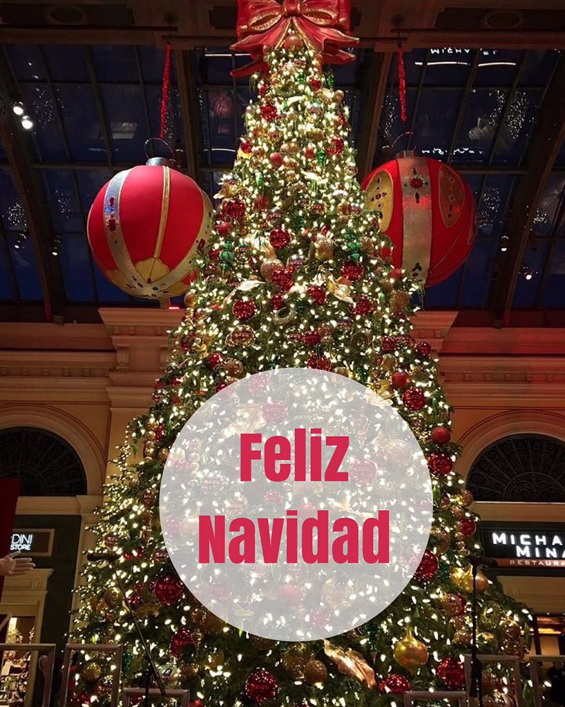 zanto_adios's tweet photo. #lasvegas #christmas #bachelorette https://t.co/eAI0rWOY9o