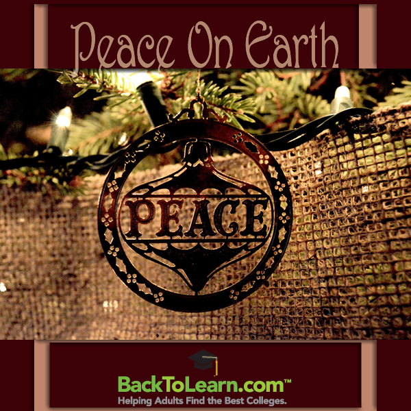 BackToLearn's tweet image. #MerryChristmas &amp;amp; #HappyHolidays from #BackToLearn! #PeaceOnEarth
