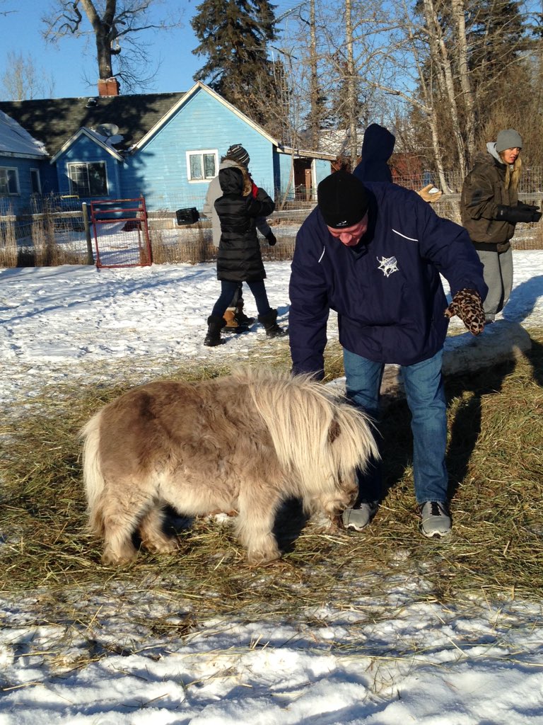 Courtney_YYC's tweet photo. My Dad (with my mitts) at @AliceSanctuary with BEANU!! No better way to spend the day! #vegan #alberta #rescue https://t.co/DStfW7LwTV