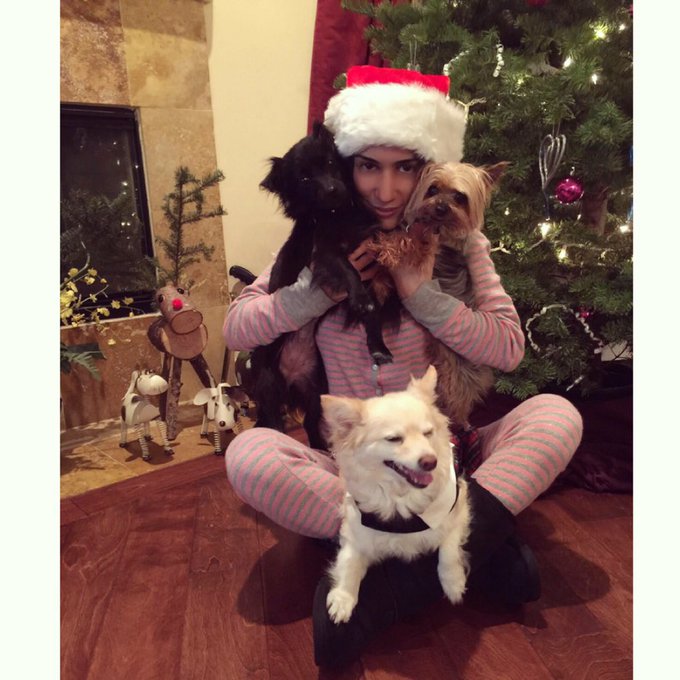 I love my babies Gypsy, Gizmo, and @FarrahCyrus ! Merry Christmas to u all from the munchkins🐶🐶🐶🎄🐾🏡🎁🎅🏼#teamcyrusxxx<a class="tags" target="_blank" title="On Twitter" href="/?out=eyJ0eXAiOiJKV1QiLCJhbGciOiJIUzUxMiJ9.eyJpYXQiOjE3MjA4OTQxMzYsImlzcyI6InR3cG9ybnN0YXJzLmNvbSIsIm5iZiI6MTcyMDg5NDEzNiwiZXhwIjoxNzUyNDMwMTM2LCJyZWRpcmVjdF91cmwiOiJodHRwczovL3R3aXR0ZXIuY29tL0ZhcnJhaEN5cnVzIn0.vErfAoUDZeRnYXBeD8uuhsxhpdpDeeHDhwzKX863E2a_n-fXFVuAvEtT3GtHHdtvaFsSNpchGv7XGfq0pR4RFA">@FarrahCyrus</a><a href="/tag/teamcyrusxxx"class="tags"><span>#teamcyrusxxx</span></a>