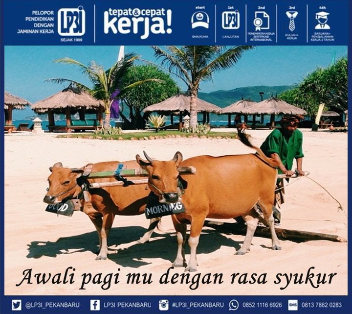 #Kuliah #Kampus #LP3ITepat_CepatKerja #KampusCepatKerja #LP3I #LP3IPekanbaru #PendidikanLink_Match