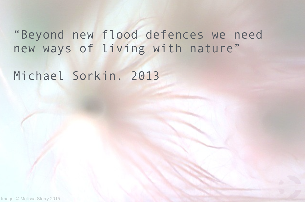 BionicCity's tweet photo. Michael Sorkin on nature... https://t.co/0DQ9YSUZAn