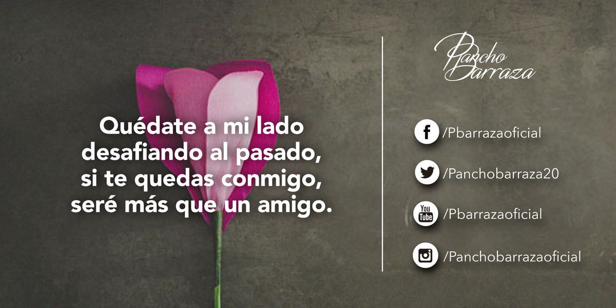 panchobarraza20's tweet photo. Dedicada a mi amada esposa. #ayaaaaaa https://t.co/N6sbr50KZE