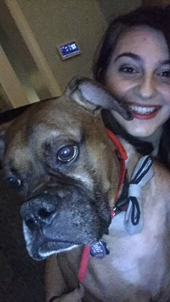 tagtheboxer's tweet photo. Merry Christmas from human girl and I! https://t.co/Q2b6RHEM69