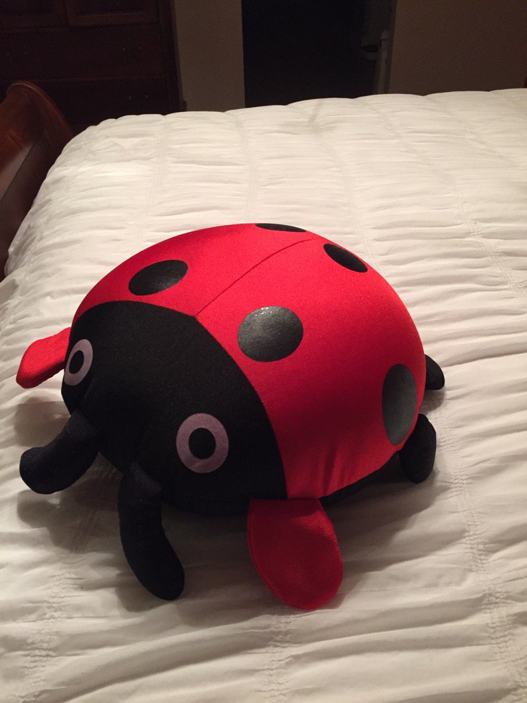 CathySalvo's tweet photo. #BestChristmasPresentEver https://t.co/KgZoMtM8AR
