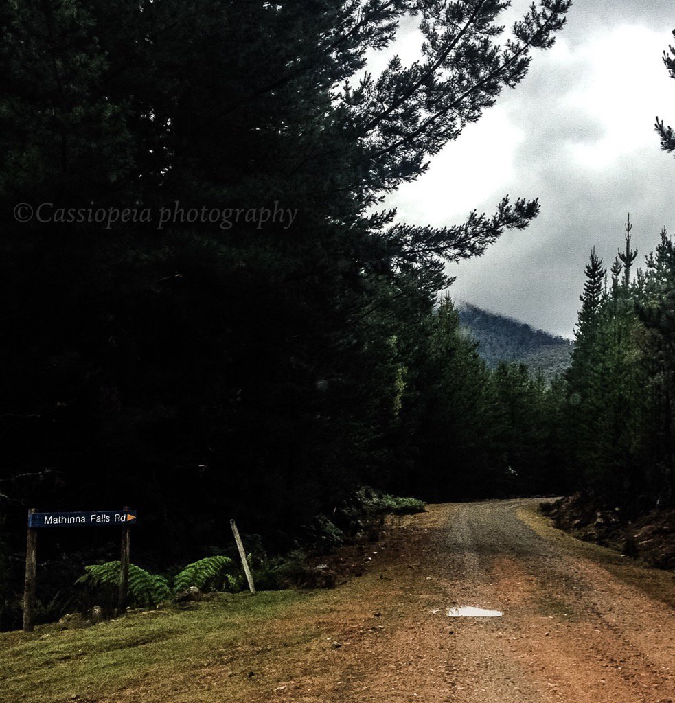 caspics's tweet photo. A road less traveled https://t.co/4GWPG0Cc46
