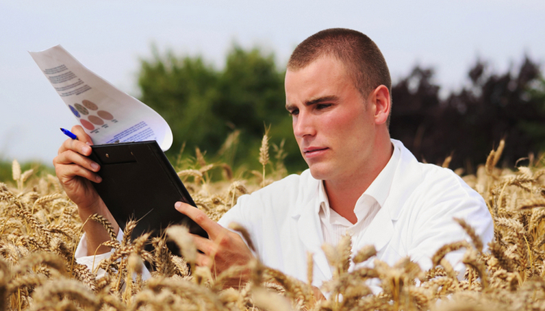 Факультет агрономии. Агроном. Ученый агроном. Агрономическая служба. Агрономическая служба.