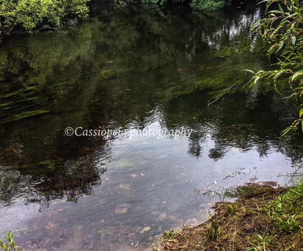 caspics's tweet photo. Reflections https://t.co/WmjzW9RQYj