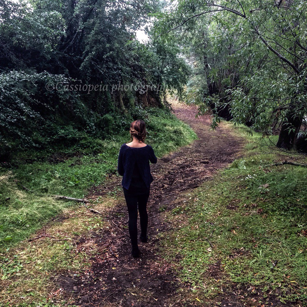 caspics's tweet photo. Into the forest https://t.co/Ar0WzcBTZ5