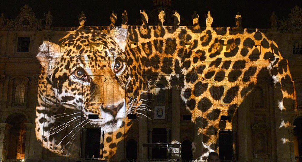 El vaticano revistió sus muros con fotografías que llaman al respeto a los animales: ow.ly/WhzeP