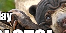 kenyada_bell's tweet photo. I LOVE these SLOTS! Get 1 million FREE credits if you install today! Download it here:  https://t.co/H9ybH7abUL https://t.co/AJaF2sqKAO